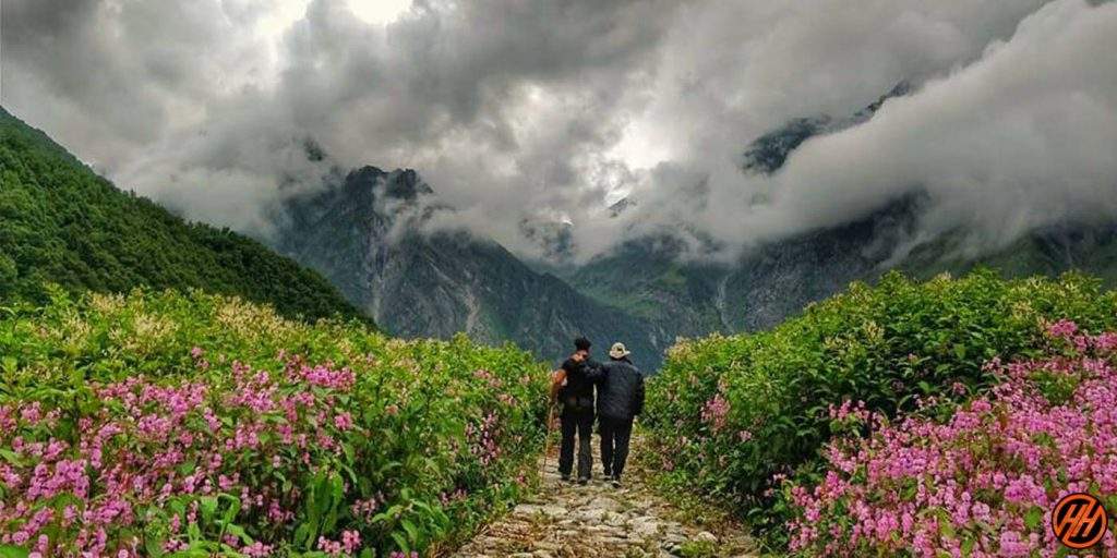 The Valley of Flowers