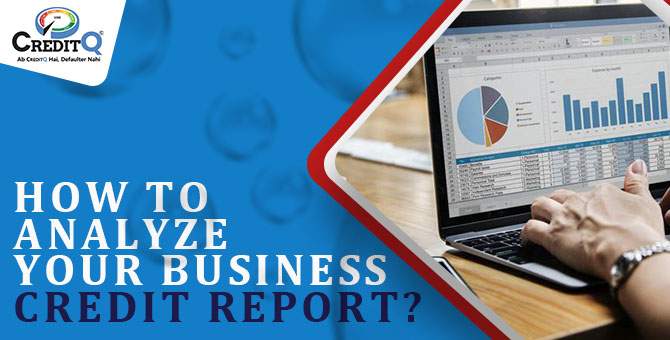 Business Credit Report