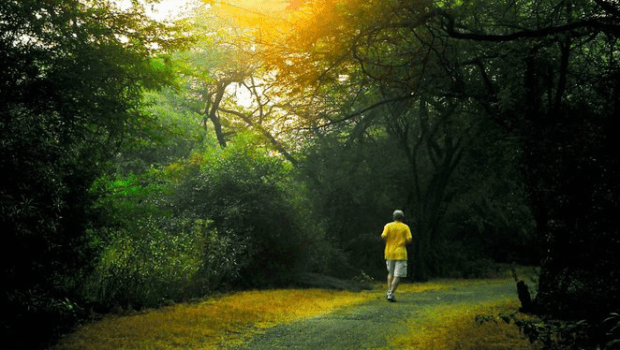 5 Benefits Of Going For A Morning Walk