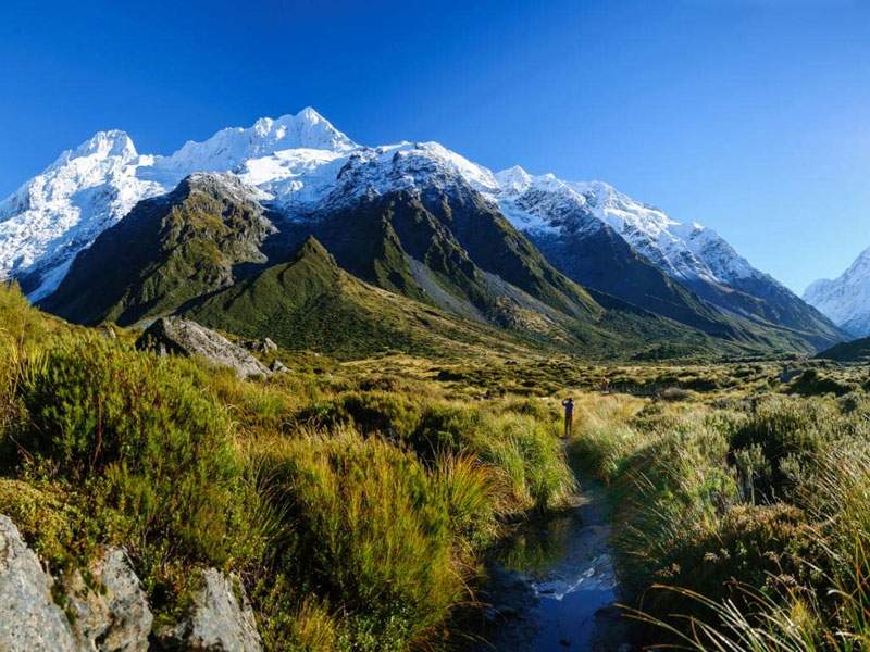 Attractions In New Zealand