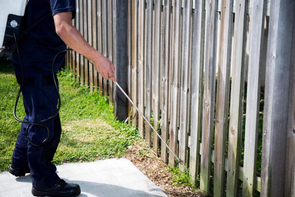 Benefits Of Hiring Professional Pest Exterminators Benefits Of Hiring Professional Pest Exterminators