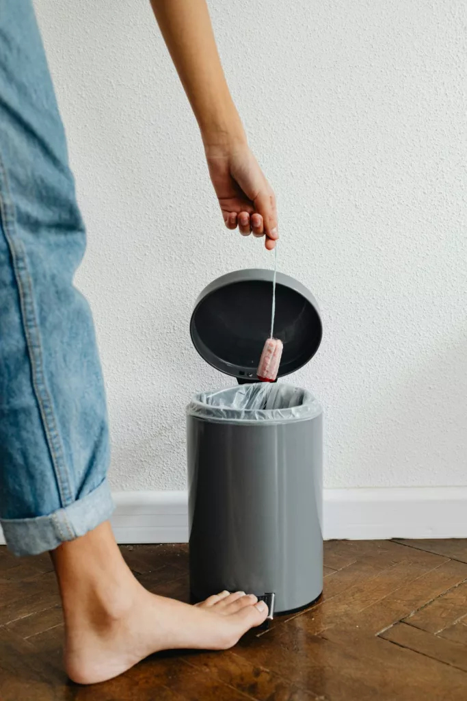 Skip Bins in House