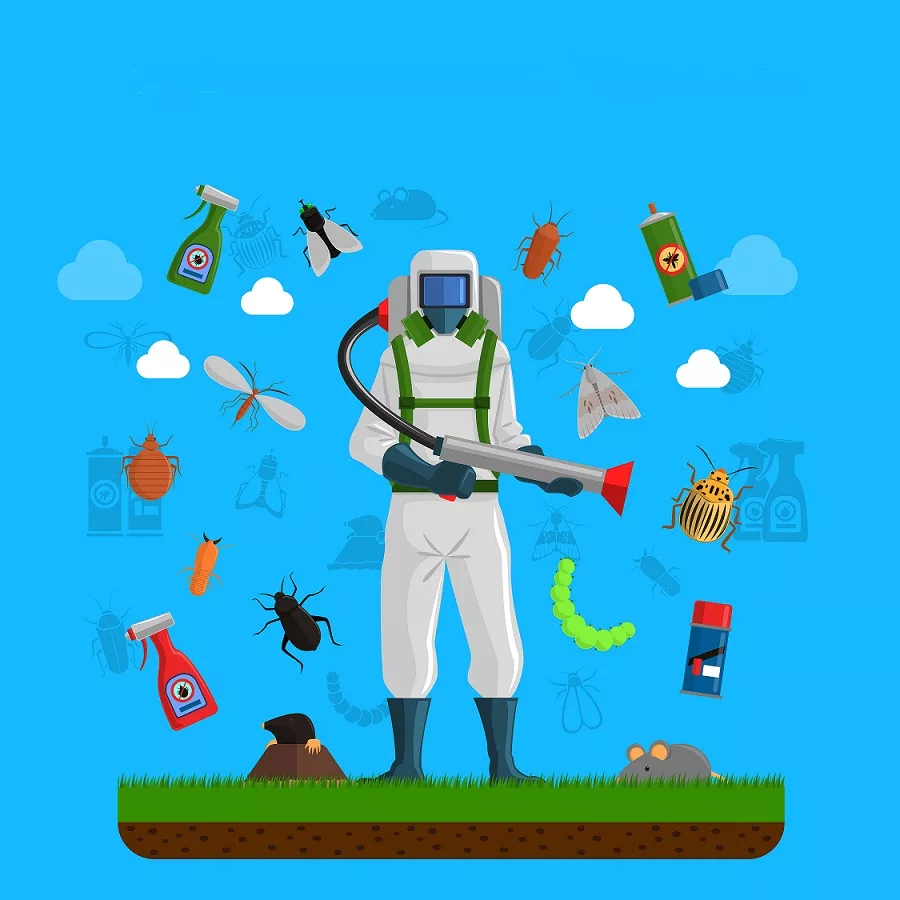 Why Hiring Bed Bug Expert Is Way to Get Rid of Them Why Hiring Bed Bug Expert Is Way to Get Rid of Them