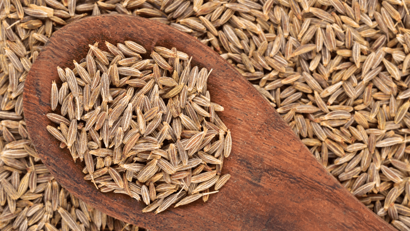 cumin seeds India