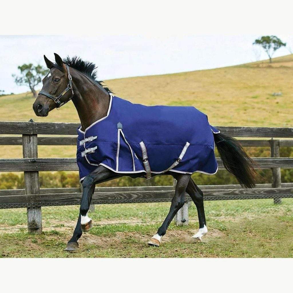 Horse Blanket And Horse Sheets – Options And Top Brands