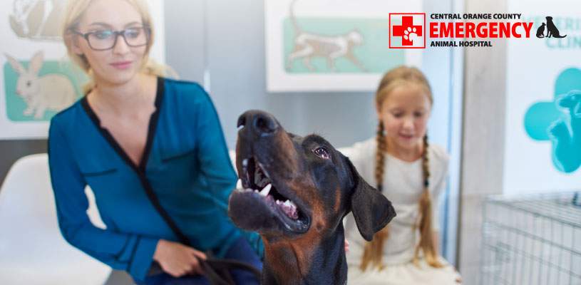 What Are The Signs Of A Potential Emergency? What Are The Signs Of A Potential Emergency?