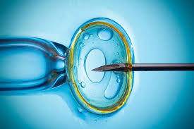 IVF Devices market