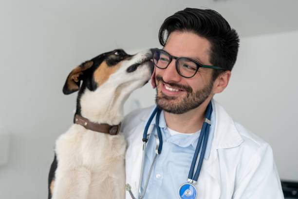 Veterinary Neurologist Diagnose