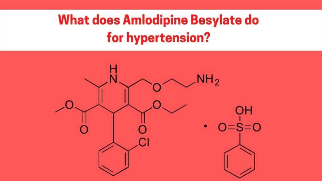 What Does Amlodipine Besylate Do For Hypertension? What Does Amlodipine Besylate Do For Hypertension?