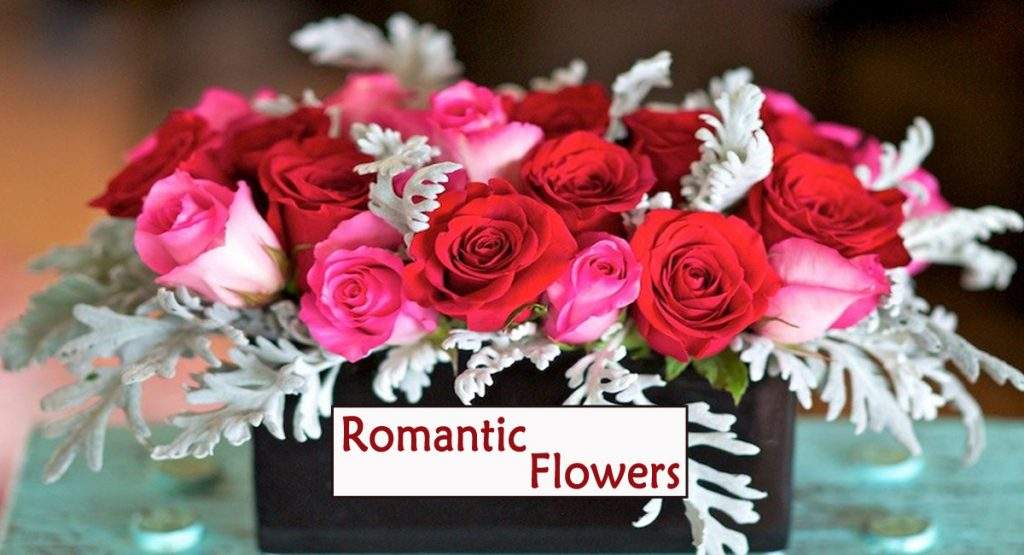 Romantic Flowers