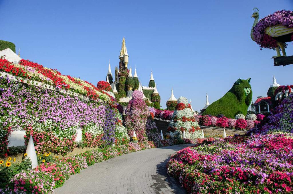 Miracle Garden Dubai