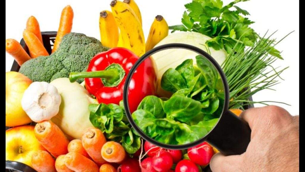 Safer Bites Ahead: Navigating the Path to Food Safety Mastery Safer Bites Ahead: Navigating the Path to Food Safety Mastery